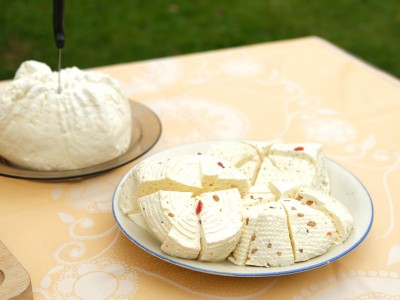 Etnoranek w Olchowcu 31.08.2025-DSCF5870.jpg