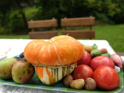 Etnoranek w Olchowcu 31.08.2025-DSCF5874.jpg