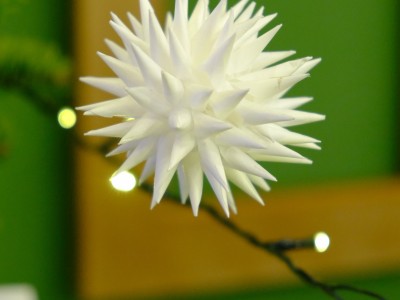 Przygotuj święta z Etnocentrum 21.12.2025-DSCF6534.jpg